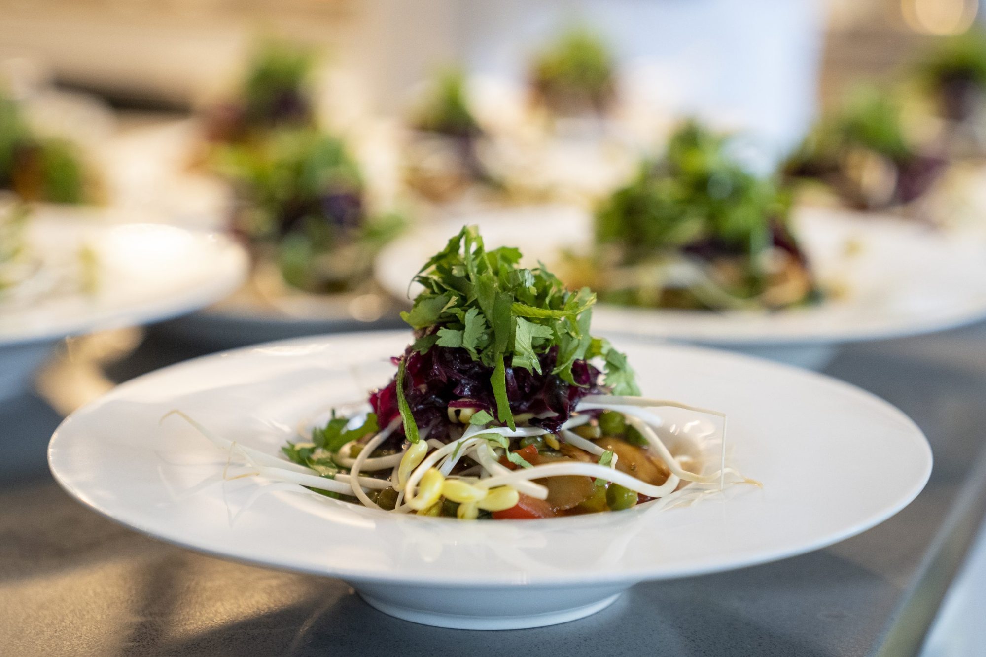 Organic farm-to-table meal plated at Santé Wellness Retreat in Ryder Lake, BC